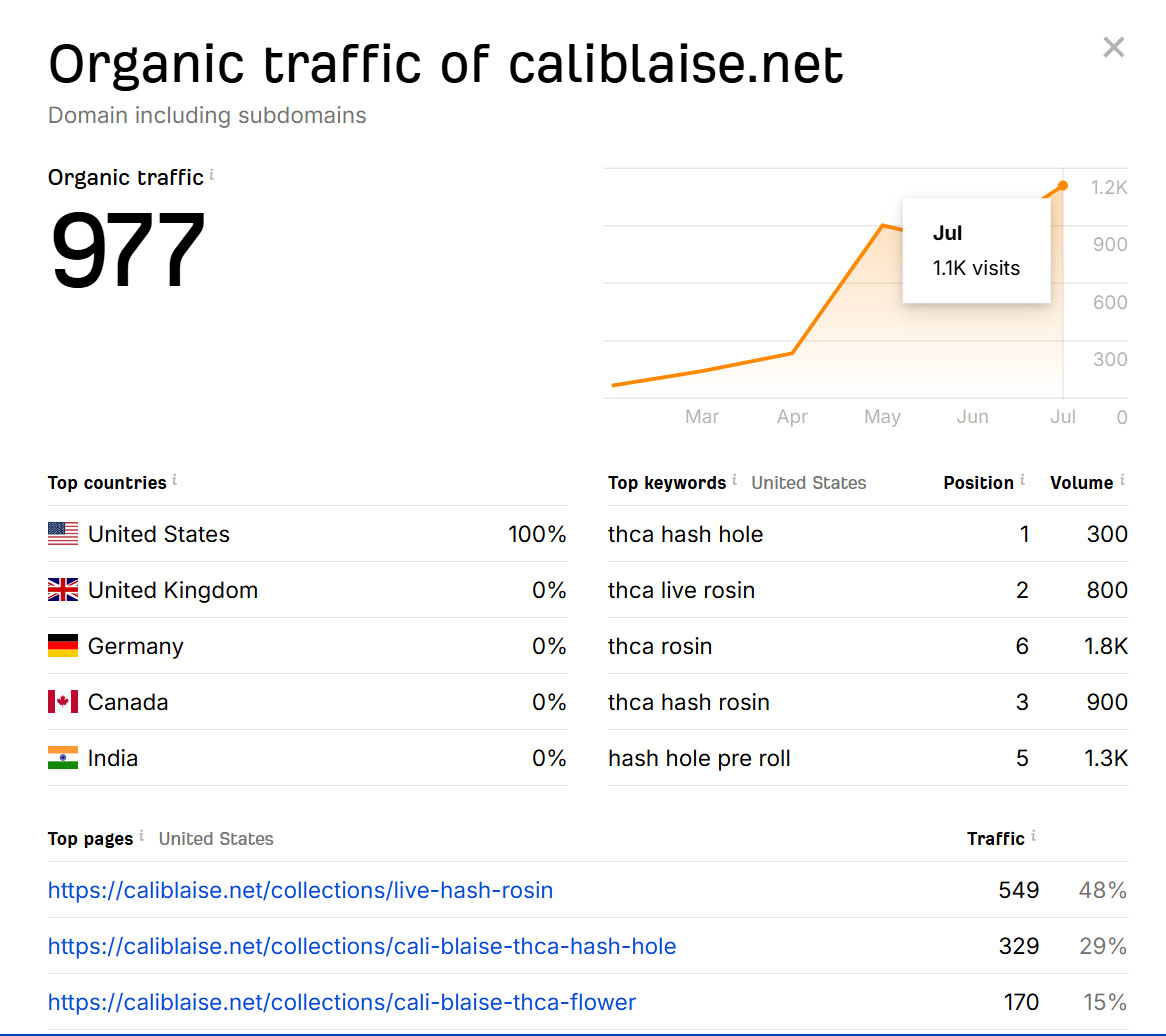 Cali Blaise’s Rapid Growth Through National Campaign with Web Rank Digital
